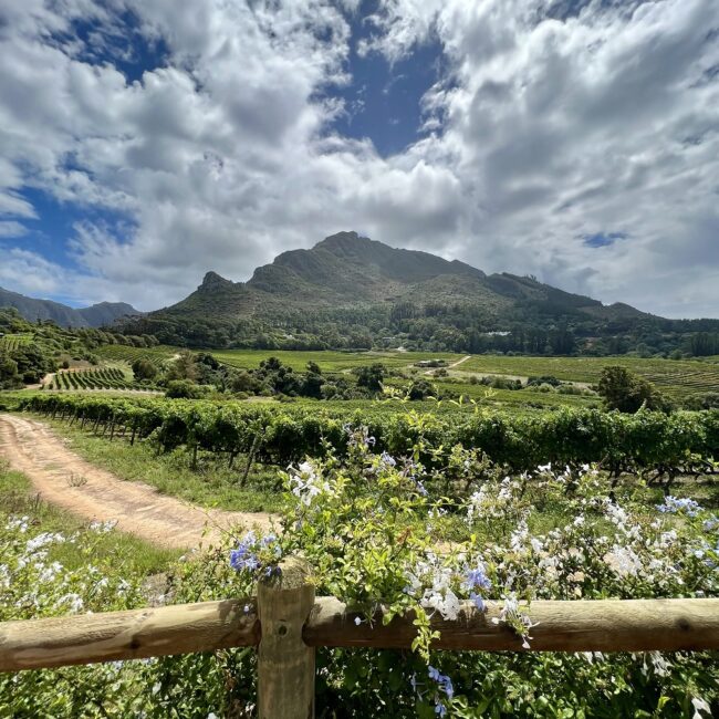 Constantia Glen